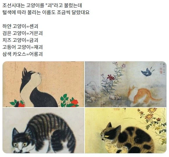 조선시대는 고양이를