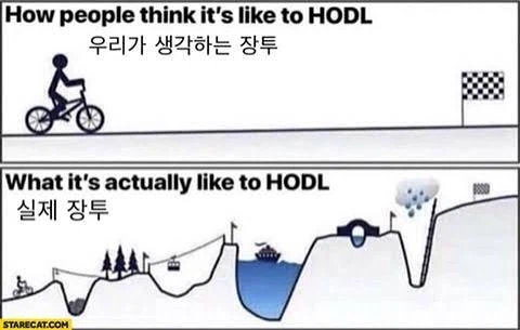 장기 투자의 상상과 현실_1.webp