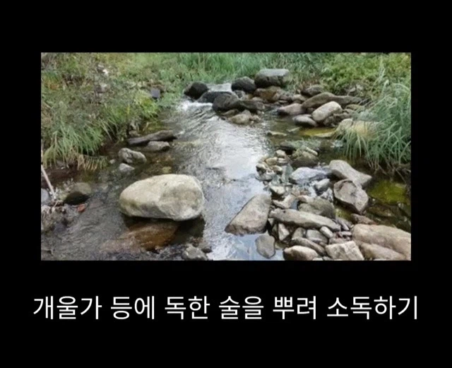 프랑스에서 흑사병 퇴치시킨 전설의 의사_11.webp