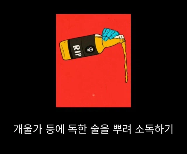 프랑스에서 흑사병 퇴치시킨 전설의 의사_12.webp