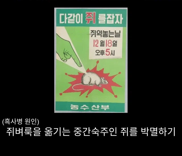 프랑스에서 흑사병 퇴치시킨 전설의 의사_13.webp
