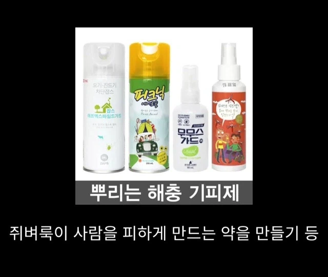 프랑스에서 흑사병 퇴치시킨 전설의 의사_14.webp