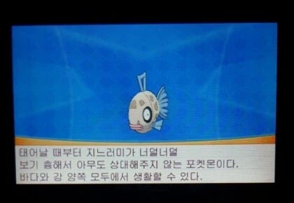 나중에 스위치판 푸키먼 루비/사파이어/에메랄드 출시로 뉴비들이 피똥싸게 되는 이유_1.webp