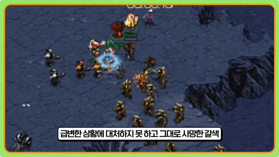 스타 입구막기 이랏샤이마세가 잘못이 없는 이유.jpg_4.webp