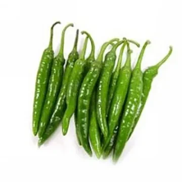 먹히지 않기위해 노력했던 동식물들의 흔적_1.webp