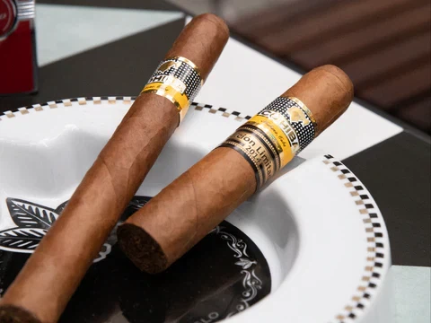 먹히지 않기위해 노력했던 동식물들의 흔적_6.webp