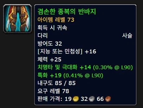 와우) 서양쪽에서 핫한 형변 아이템_1.webp