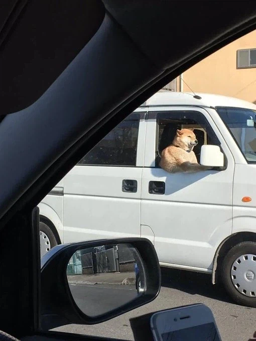 옆차가 개같이 운전한다_1.webp