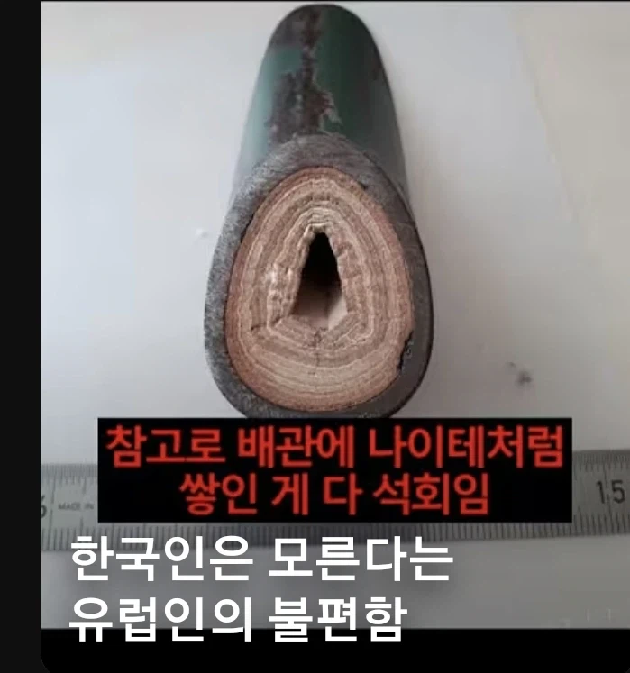 서양사에서 목욕을 기피했던 이유_1.webp