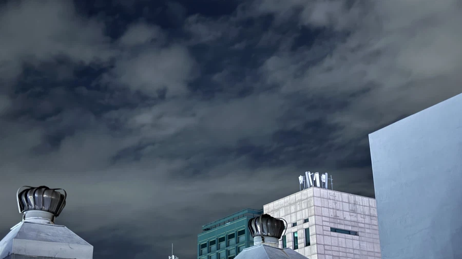 월식 사진 찍어 왔어_2.webp