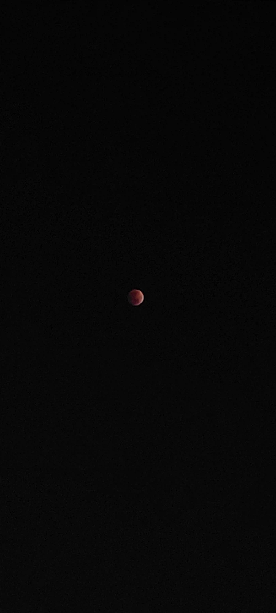 달 찍어왔다._1.webp