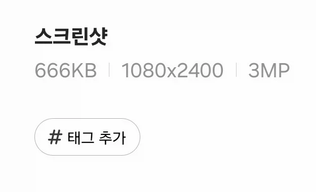 달 찍어왔다._2.webp