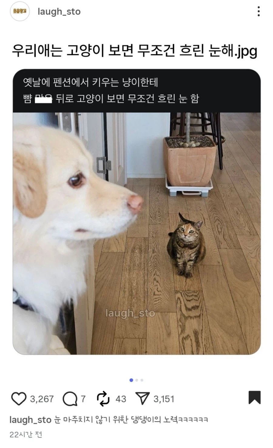 우리애는 고양이 무족권 흐린 눈 해_3.webp