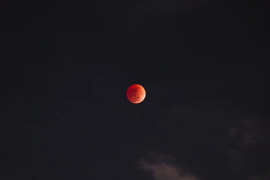 아아 죽이는 달이다_2.webp