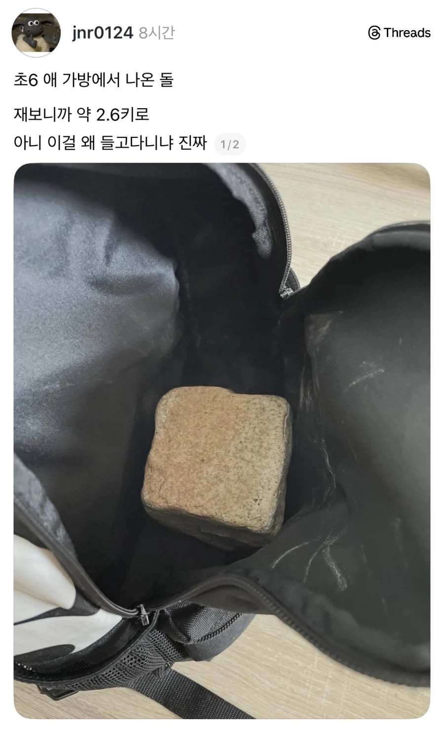 초딩 아들 가방에서 나온 것.jpg_1.webp