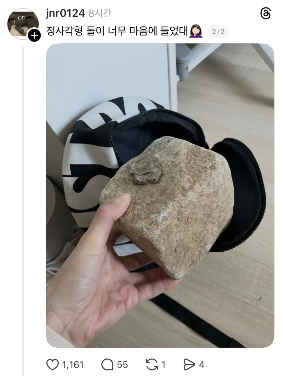 초딩 아들 가방에서 나온 것.jpg_2.webp