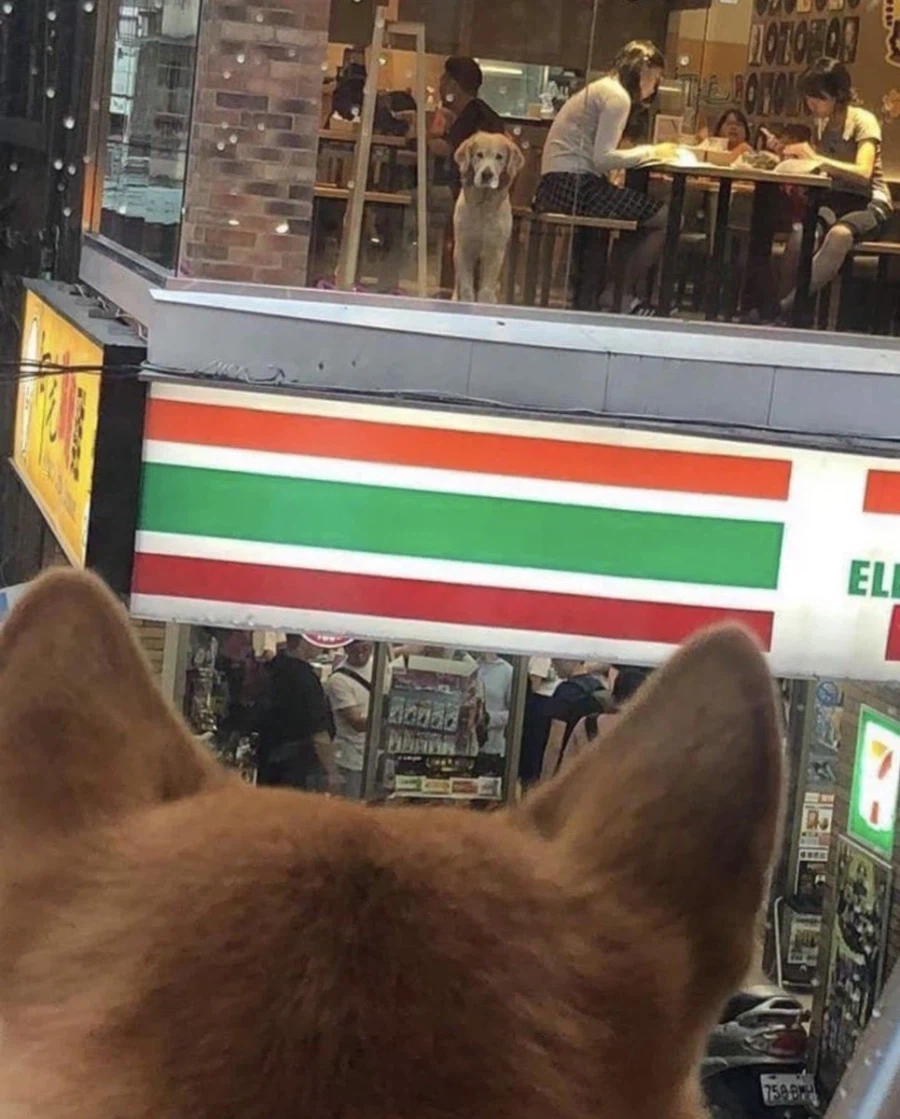 키미노 나 왕_1.webp