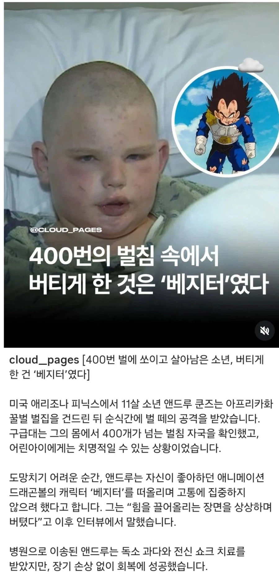 날 버티게 한 건 베지터였다_1.webp