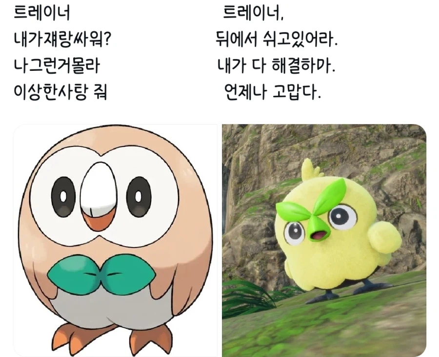 스타팅 포켓몬 온도차_1.webp