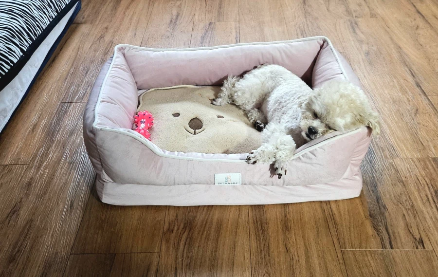 96? 99? 01? 가소롭구나_1.webp