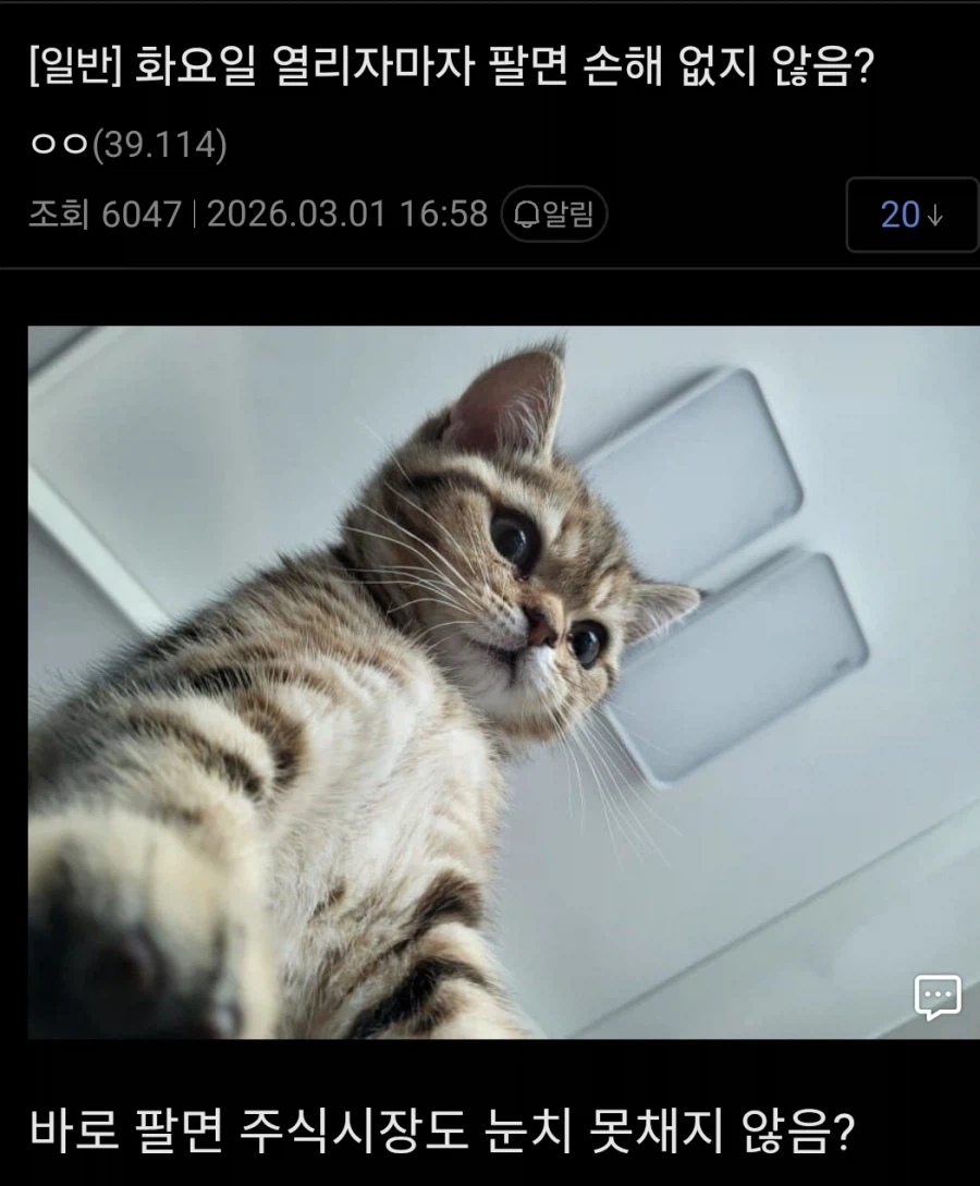 재평가되는 주식 천재_1.webp