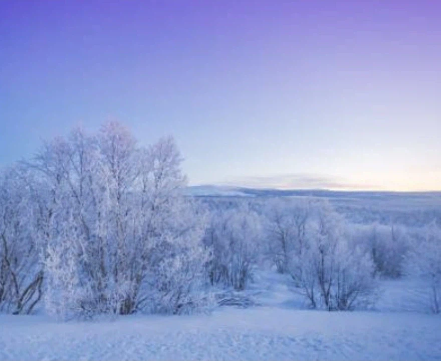 정떡 풀려고 북으로 가는데_2.webp