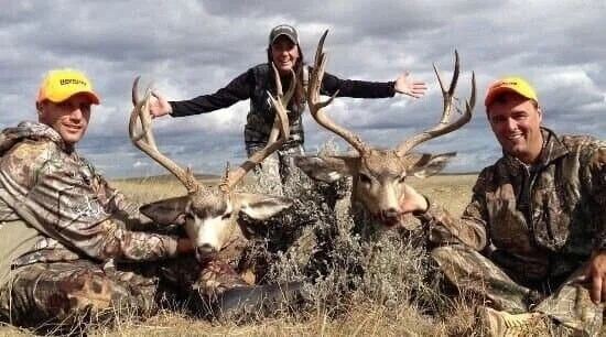 서양의 흔한 빅 사슴 가이즈.jpg_2.webp