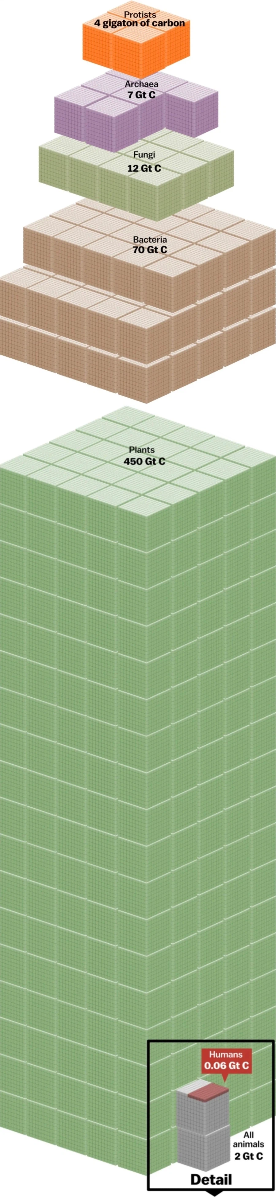 지구상에서 인간이 차지하는 머릿수.jpg_1.webp