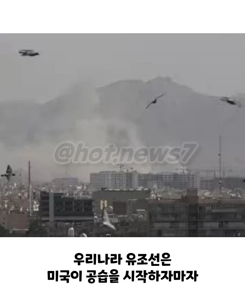 싱글벙글 빨리 빨리 민족.jpg_3.webp