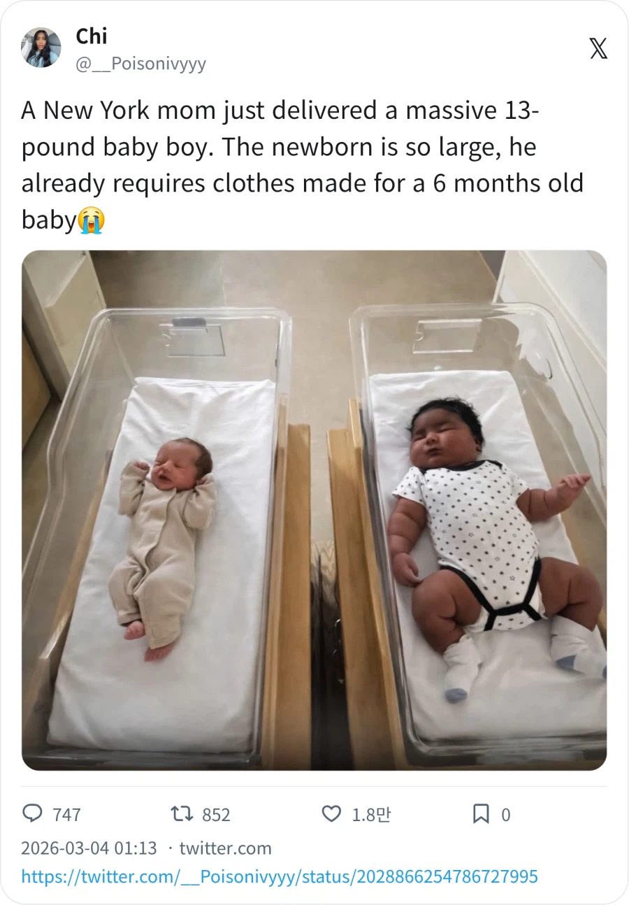 뉴욕에서 태어난 6kg 신생아_2.webp