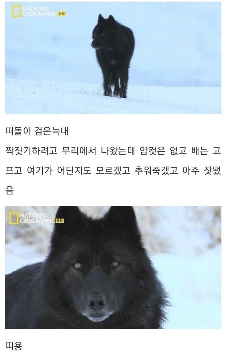 아저씨 딸도 나 좋아한댔는데요_1.webp