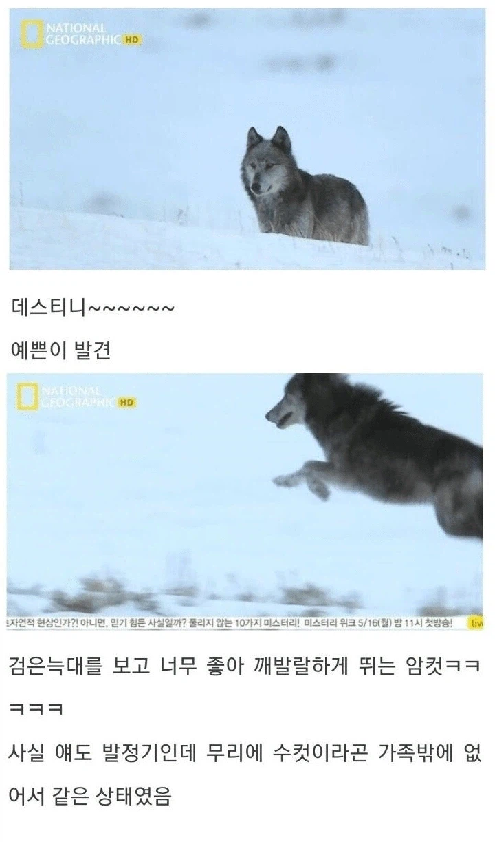 아저씨 딸도 나 좋아한댔는데요_2.webp