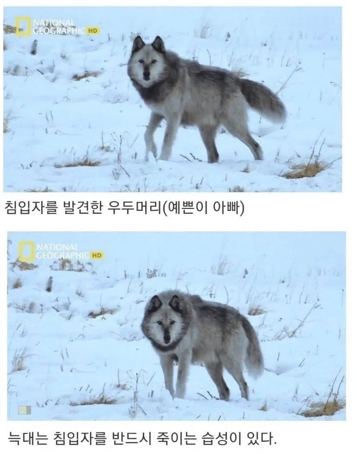 아저씨 딸도 나 좋아한댔는데요_4.webp