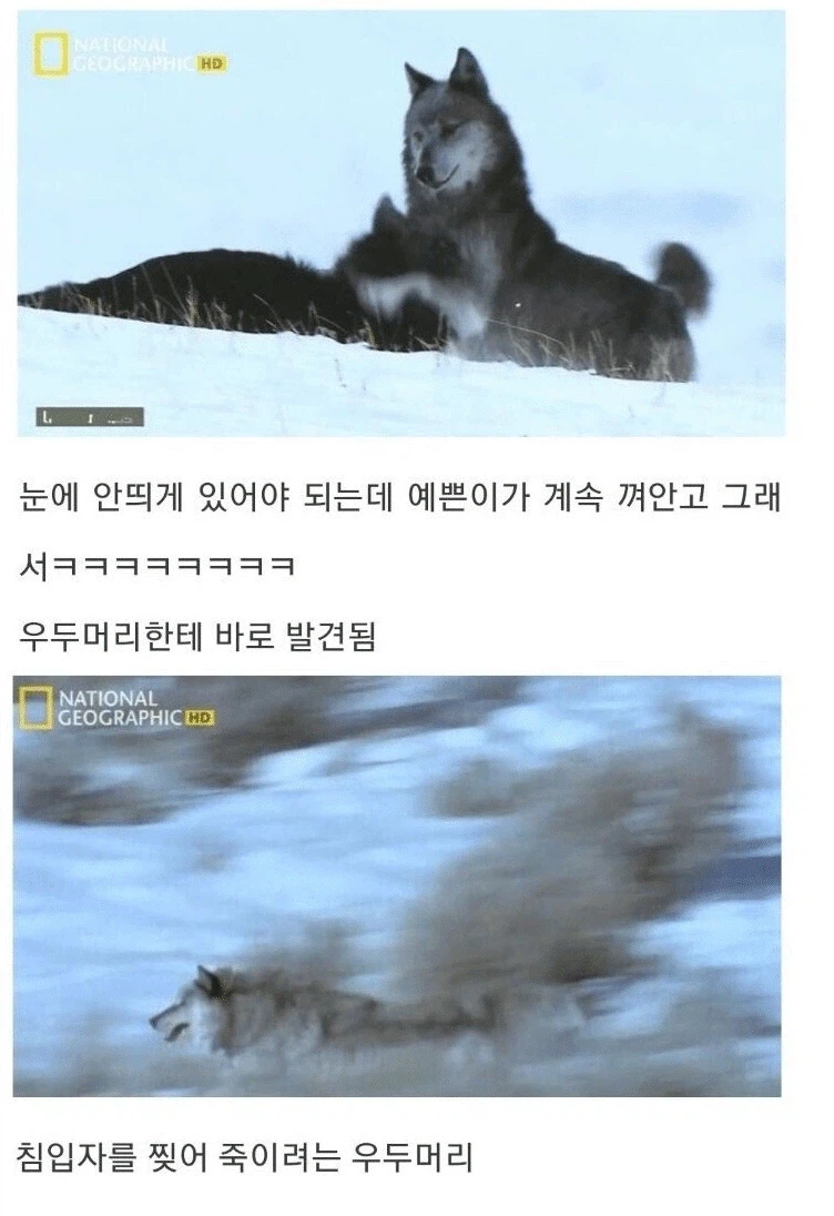 아저씨 딸도 나 좋아한댔는데요_5.webp