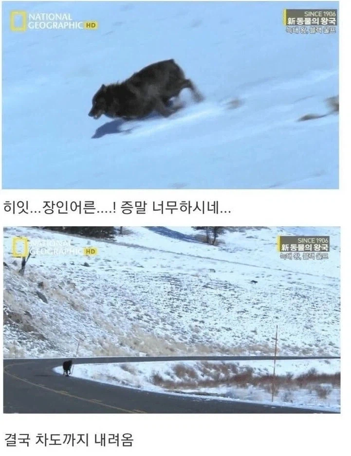 아저씨 딸도 나 좋아한댔는데요_6.webp