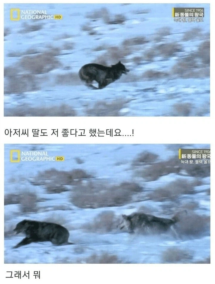 아저씨 딸도 나 좋아한댔는데요_7.webp