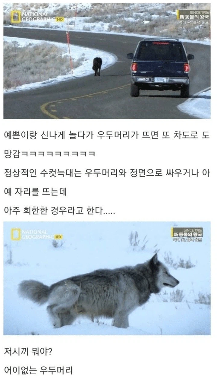 아저씨 딸도 나 좋아한댔는데요_10.webp