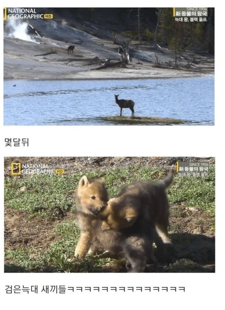 아저씨 딸도 나 좋아한댔는데요_11.webp