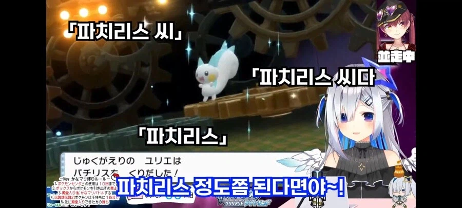 일본에서 파치리스에 대한 인식.jyp_3.webp