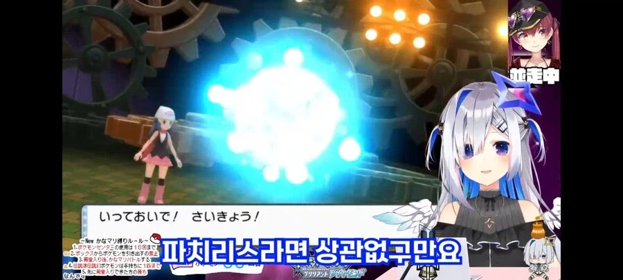 일본에서 파치리스에 대한 인식.jyp_4.webp