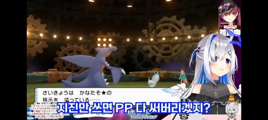 일본에서 파치리스에 대한 인식.jyp_5.webp