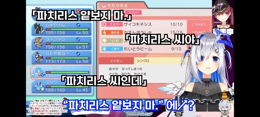 일본에서 파치리스에 대한 인식.jyp_6.webp