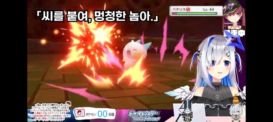 일본에서 파치리스에 대한 인식.jyp_7.webp