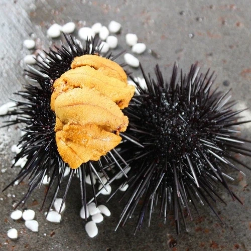 너의 시선을 가져가겠다_4.webp