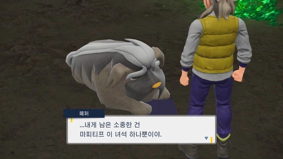 포켓몬 스바 난이도 관련 좋은 부분_1.webp