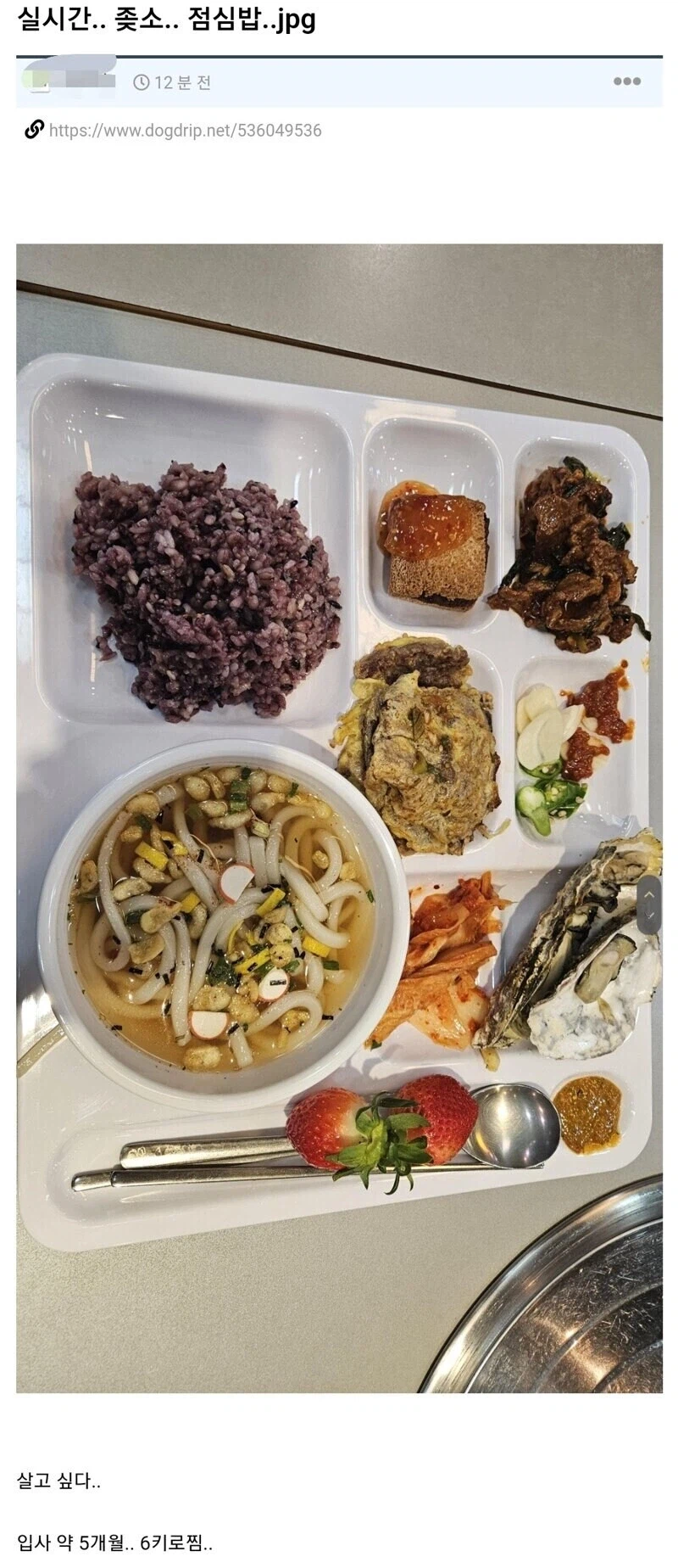 중소기업 식단 때문에 한 마디하는 사원.jpg_1.webp