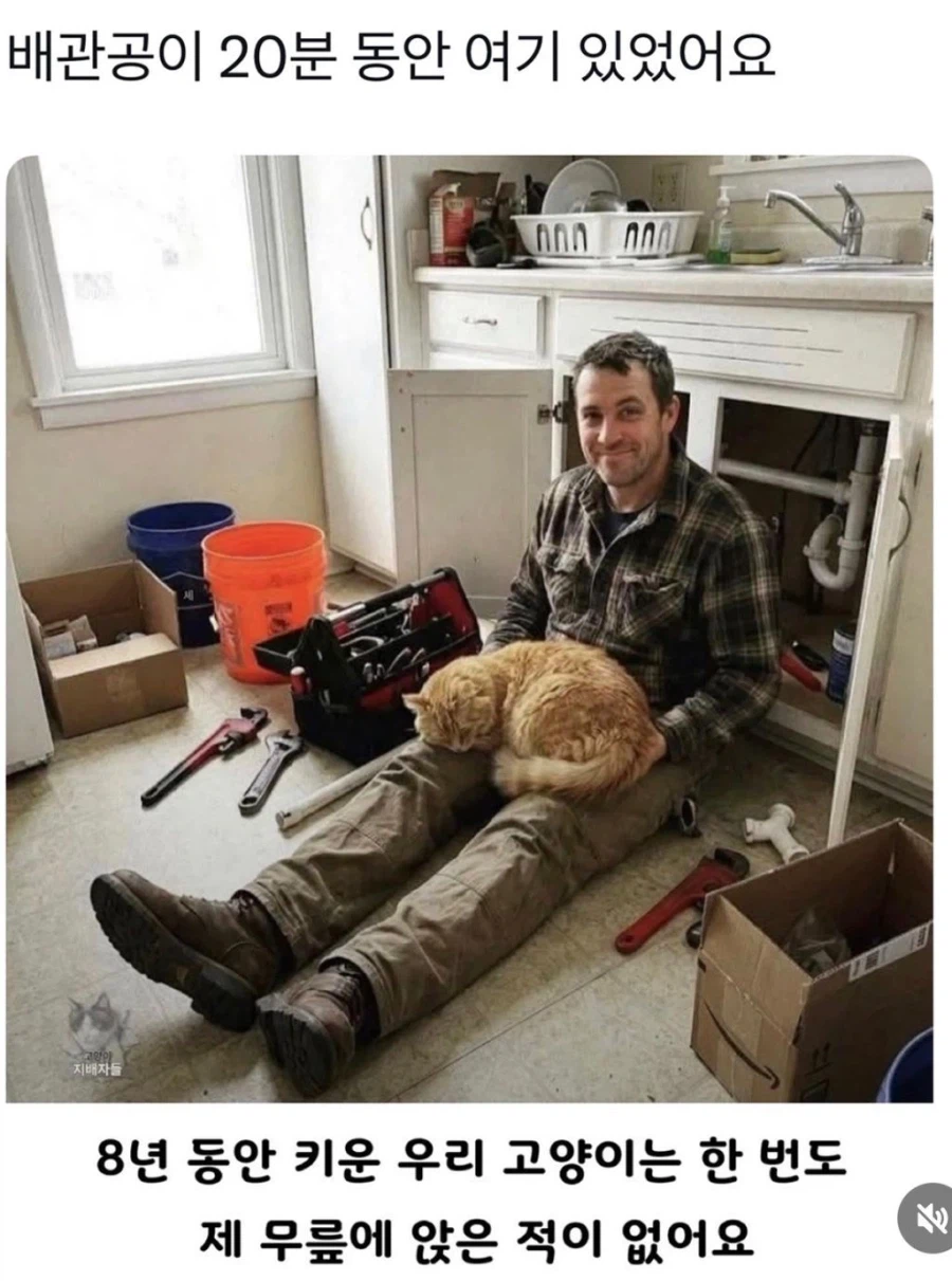 배관공이 20분 동안 요지부동한 이유.jpg_1.webp