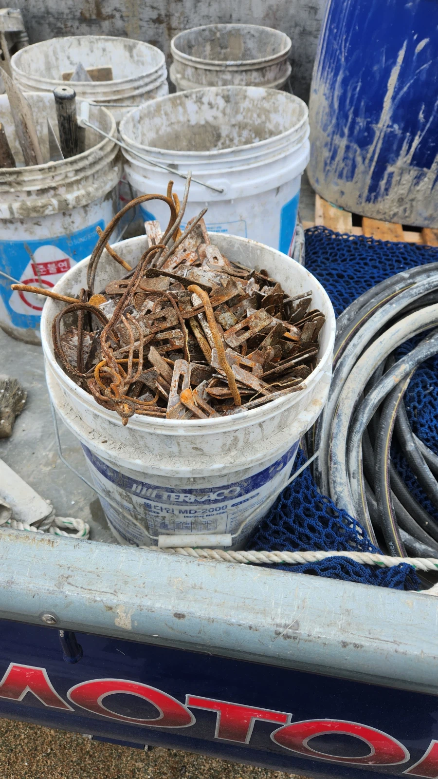 지금 줍줍 하고있는데 개꿀임ㅋㅋㅋ_1.webp