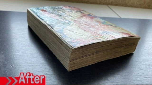 일본 국립 공문서관의 기술력 자랑_3.webp