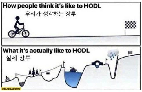 이쯤에서 다시 보는 장투 명짤_1.webp